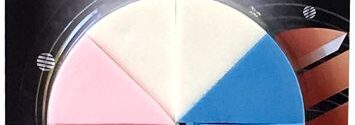 CISNE DIVIDIDO COLOR (ART.102)
