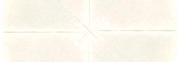 CISNE DIVIDIDO ECONOMICO (ART.22)