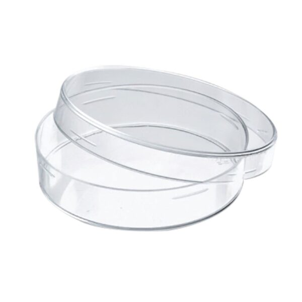 CAJA DE PETRI DE VIDRIO 10 CM