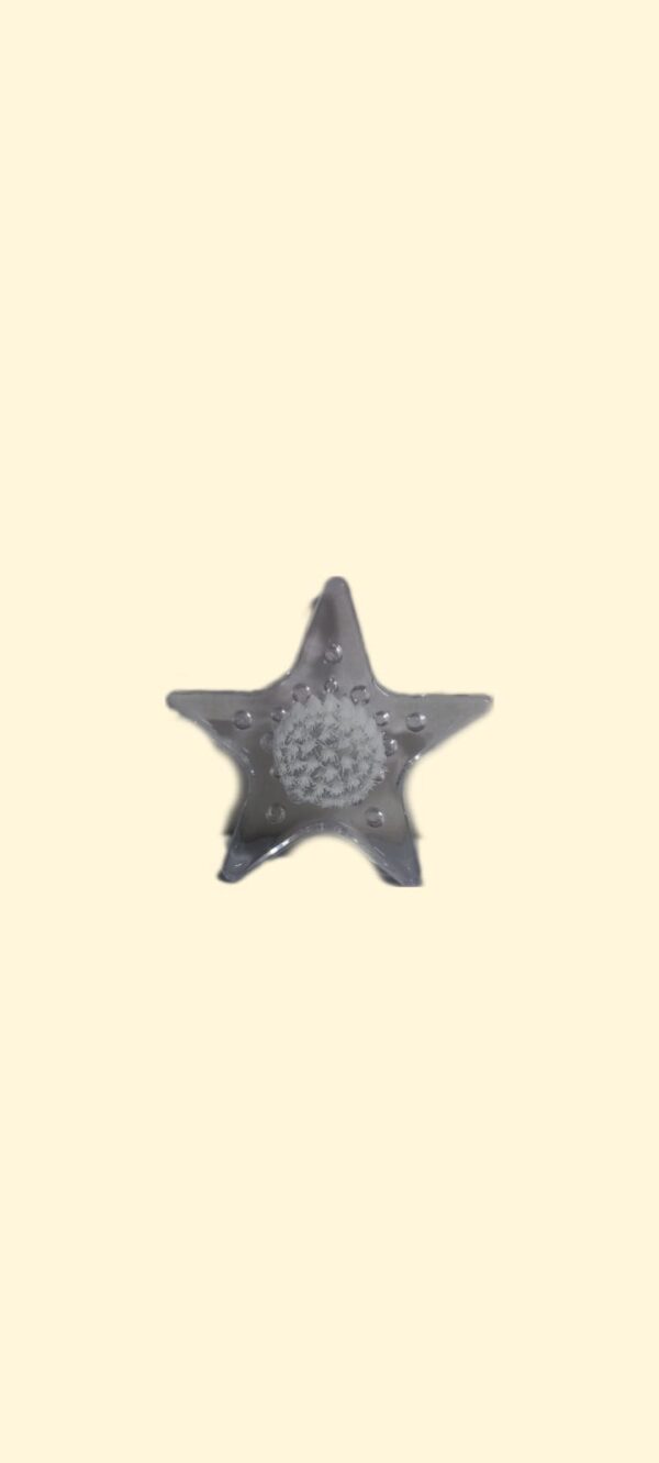 MASAJEADOR C/CEPILLO ESTRELLA