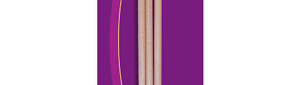 palito interdental gem PALITO DE NARANJO GEM X 3 UNIDADES