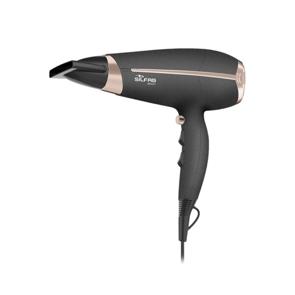 SECADOR DE PELO "ION EXPERT" (*)